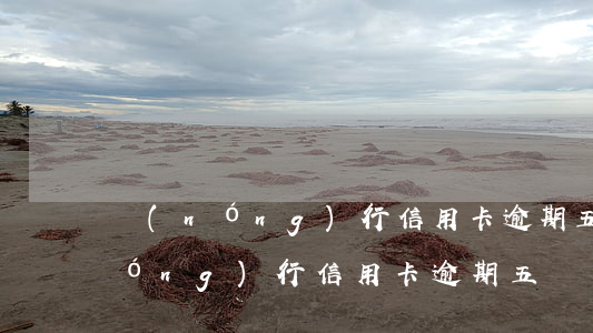 農(nóng)行信用卡逾期五萬-農(nóng)行信用卡逾期五萬、每個月往卡里還2千有什么后果